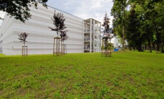 Tył budynku, schody ewakuacyjne, nowe nasadzenia drzew