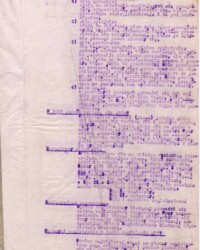 Fragment zarządzenia Prezydenta Miasta Bydgoszczy dotyczący powstawania i podziału akt w registraturach. W zarządzeniu prezydenta zdefiniowano pojęcie akt osobowych w registraturze. Fragment zarządzenia Prezydenta Miasta Bydgoszczy dotyczący powstawania i podziału akt w registraturach. W zarządzeniu prezydenta zdefiniowano pojęcie akt osobowych w registraturze.